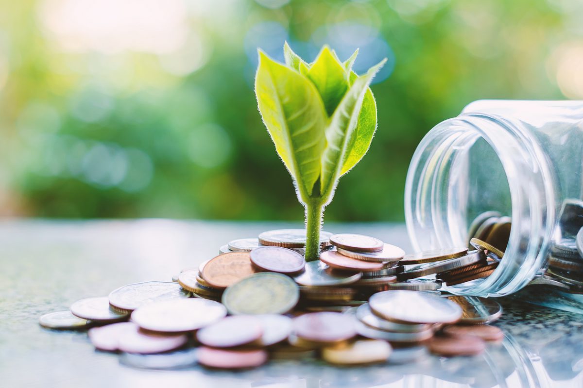 Money jar tipped over and plant shoot growing from pile of money